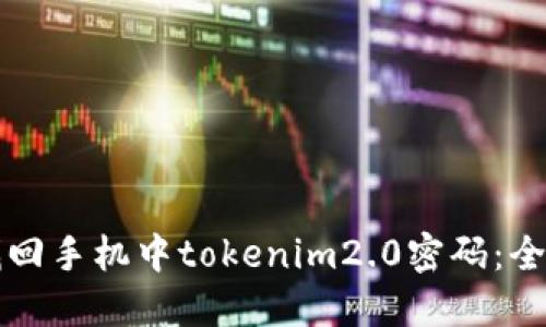 如何找回手机中tokenim2.0密码：全面指南