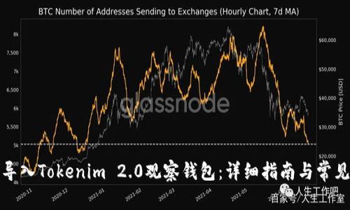如何成功导入Tokenim 2.0观察钱包：详细指南与常见问题解答
